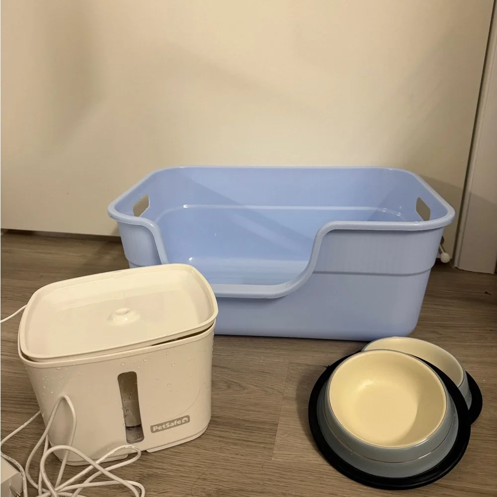 Cat Starter Kit